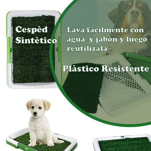 baño ecológico para mascotas pequeños
