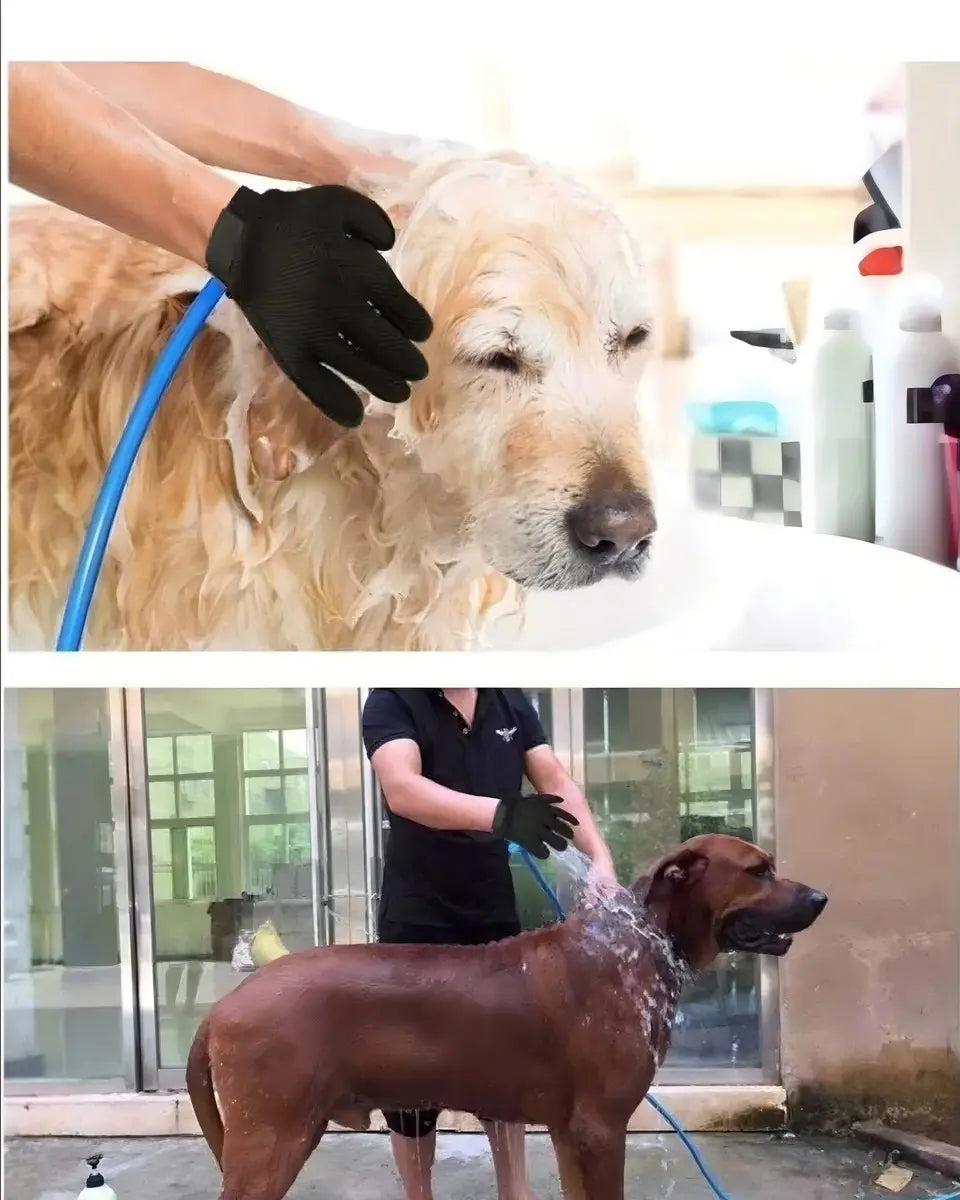 Manguera de Ducha para Mascotas